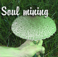 Cover "Soul mining"